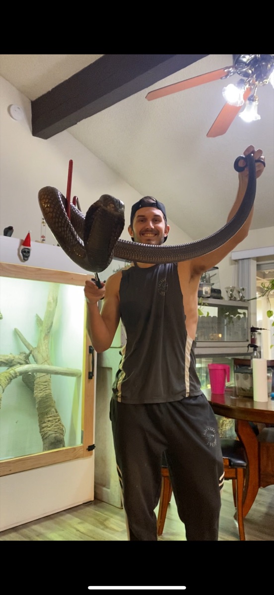 Tyler Bevers, co-owner of BVR Reptile Room